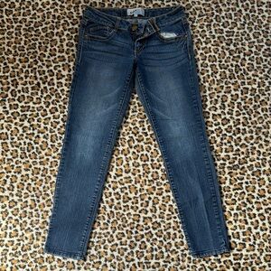 Jolt Blue Skinny Jeans Classic Style